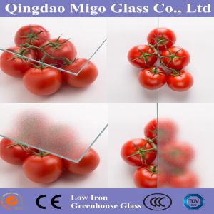 Vetro Diffuso per Serra