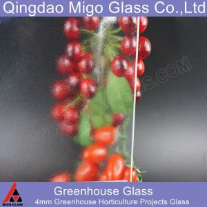 Vetro Prismatico Opaco Serra